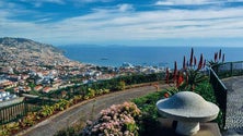 Imagem de Rotura na Rede de Abastecimento de Água no Pico dos Barcelos