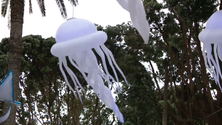 Imagem de Festa Branca na cidade da Horta (Vídeo)
