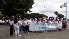 Imagem de Faz-se `políticas fantásticas para os bichinhos mas esquece-se o bicho Homem`