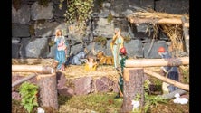 Imagem de Jardim da Serra mostra presépio gigante