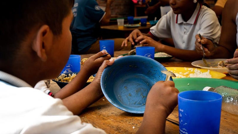 Imagem de Prémio Nobel da Paz atribuído ao Programa Alimentar Mundial