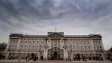 Imagem de Polícia detém condutor de carrinha “suspeita” perto do Palácio de Buckingham