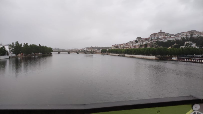 Imagem de Coimbra estuda a inclusão de autocarros a hidrogénio nos transportes urbanos