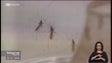 Imagem de Atividade do mosquito aedes aegypti aumentou na Madeira (vídeo)