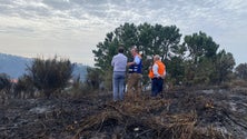 «Fonte do Bispo preocupa-nos um pouco» (áudio)