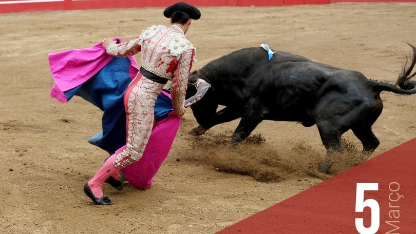 Imagem de Feira Taurina 2022