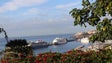 Porto do Funchal continua cheio, com a estreia do «Ambience» e dois navios pernoitantes