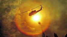 Imagem de Rocha da Silva afirma que testes de meios aéreos de combate aos incêndios deviam ser feitos em cenário real