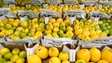Imagem de Mais de 600 os agricultores na Mostra do Limão (áudio)