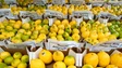Mais de 600 os agricultores na Mostra do Limão (áudio)