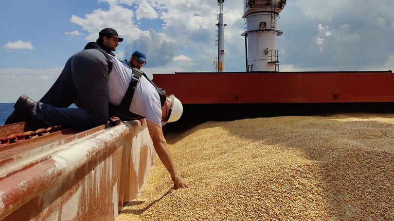 Quatro novos navios de transporte de cereais autorizados a sair