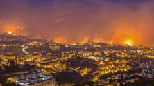 Imagem de Governo Regional já limpou em 30% da área da faixa corta-fogo