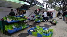 Imagem de Mercado Biológico vai continuar (vídeo)