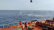 Imagem de Marinha resgata homem de 67 anos ao largo da Madeira