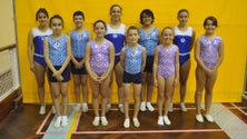 Imagem de Na impossibilidade de juntar atletas de todo o país num pavilhão, a Federação portuguesa de Ginástica substituiu o campeonato nacional de trampolins por um open virtual