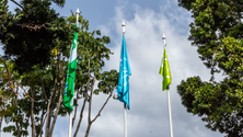Imagem de Funchal hasteou três bandeiras de galardões conquistados em 2016