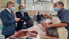 Imagem de Foram pescadas 500 toneladas de atum patudo (áudio)