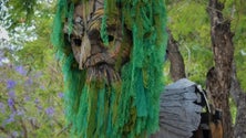 Imagem de Festival Mariofa regressa ao Funchal (áudio)