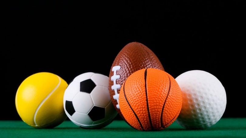 Imagem de Governo promete apresentar apoios ao desporto