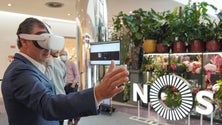 Imagem de Empresas tecnológicas localizadas na Madeira faturam mais de 300 milhões (áudio)