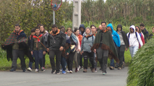 Imagem de Romaria escolar de Ponta Delgada de regresso à estrada