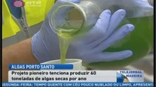 Imagem de Porto Santo produz algas para cosmética (Vídeo)