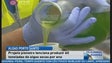 Imagem de Porto Santo produz algas para cosmética (Vídeo)