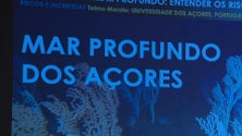 Imagem de Riscos da mineração do mar profundo dos Açores em análise