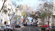 Imagem de Motociclista morre em colisão