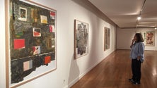 Imagem de Exposição faz viagem de 20 anos (Vídeo)