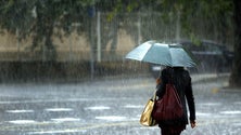 Imagem de Madeira com menos de metade da chuva nos meses outubro e novembro
