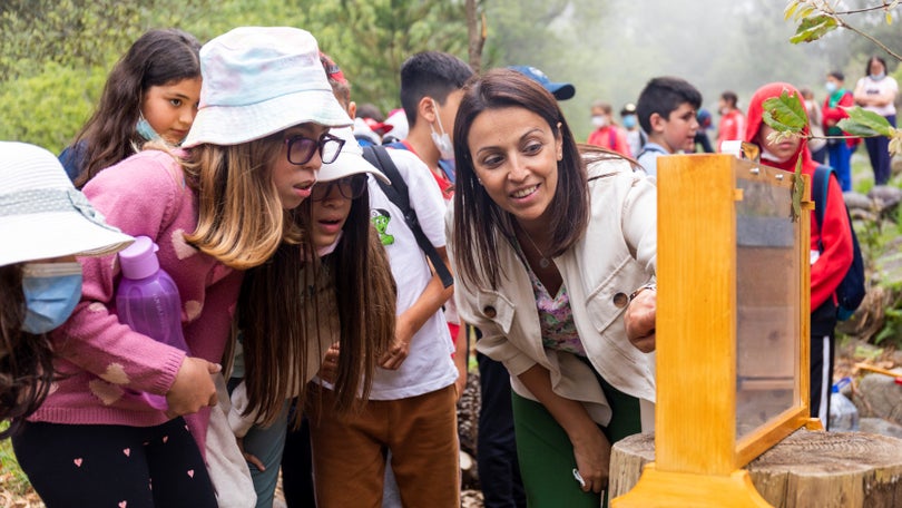 Parque Ecológico do Funchal produziu 60 quilos de mel