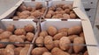 Madeira exporta batata-doce