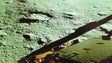 Sonda indiana envia para a Terra primeira imagem de solo lunar após alunagem