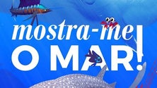 Imagem de Livro digital pretende aproximar crianças dos oceanos (Vídeo)