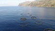 Imagem de Mais duas jaulas para aquacultura na Calheta