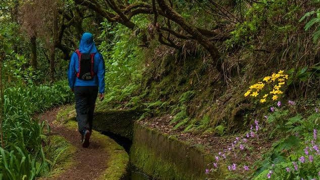 Madeira espera ser palco de encontro internacional de pedestrianismo em 2017