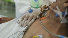 Imagem de Mais nove mortes e 1.190 casos