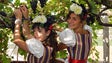 Imagem de Festa do Vinho Madeira está de regresso (áudio)
