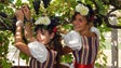 Festa do Vinho Madeira está de regresso (áudio)