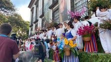 Imagem de Festa da Flor atrai multidão como há muito não se via (áudio)