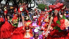 Imagem de Festa da Flor na Madeira com taxa de ocupação hoteleira de 90% em três semanas