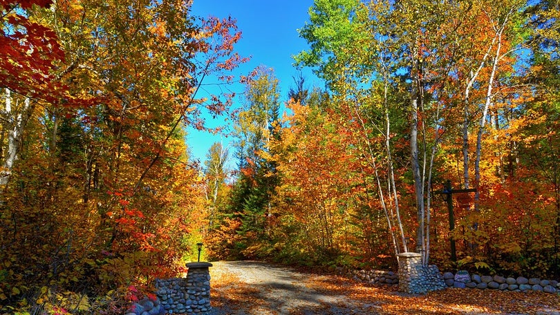 Imagem de My Autumn Landscapes por Emanuel Melo