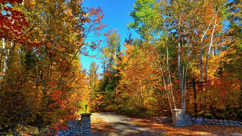 My Autumn Landscapes por Emanuel Melo