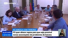 Imagem de PS quer alterar portaria para que seja possível novas associações de produtores de banana