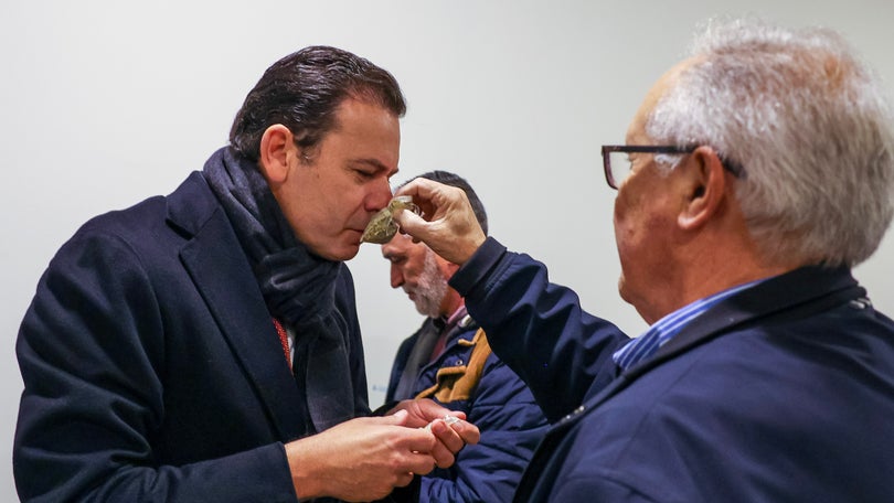 Imagem de Montenegro insiste que autoridade de Medina está irremediavelmente diminuída