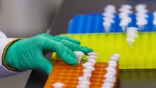 Imagem de Vírus da hepatite B circula há milénios entre os humanos