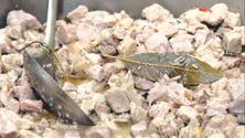 Imagem de Sandes de carne de vinho e alhos são indispensáveis no Natal madeirense