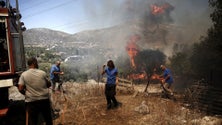 Incêndios florestais ameaçam casas no litoral grego