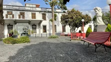 Imagem de Madeira com «aumento significativo» de internamentos devido a novas substâncias psicoativas